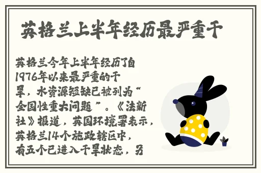 夏晴子沈娜娜苏清歌团圆火锅